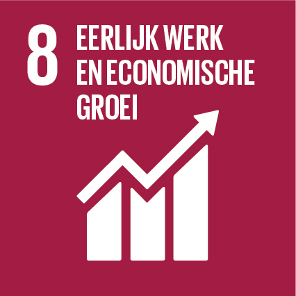 sdg-8-eerlijk-werk-en-economische-groei